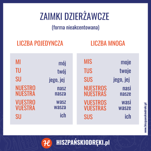 zaimki dzierżawcze w hiszpańskim